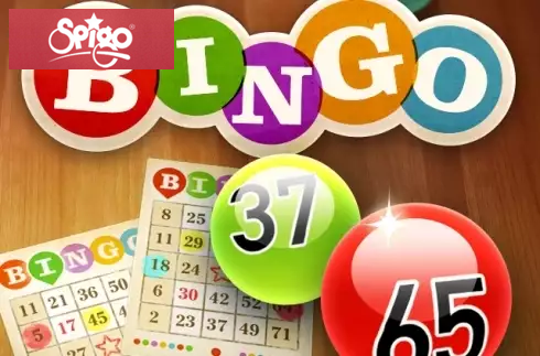 Bingo
